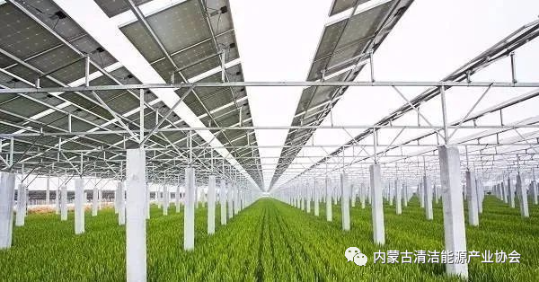 “光伏+农业”八大新模式，一个正在打开的未来！-内蒙古清洁能源产业协会