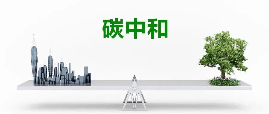 图片[2]-清华大学白重恩：实现碳中和，要平衡行政手段和价格手段-内蒙古清洁能源产业协会